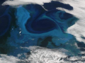 Figure 2.17 - Phytoplankton bloom off South Georgia.png
